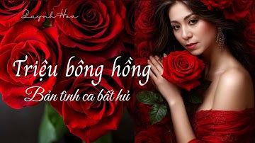 Triệu Bông Hồng – Bản tình ca buồn đẹp nhất mọi thời đại