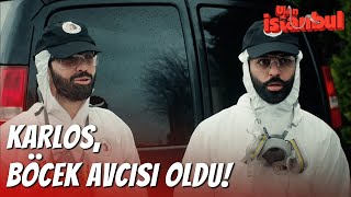 Vicdanları İçin Hırsızlık Yaptılar! - Ulan İstanbul Özel Klip