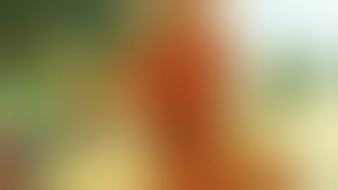 The Best Headshot ever! (HD)