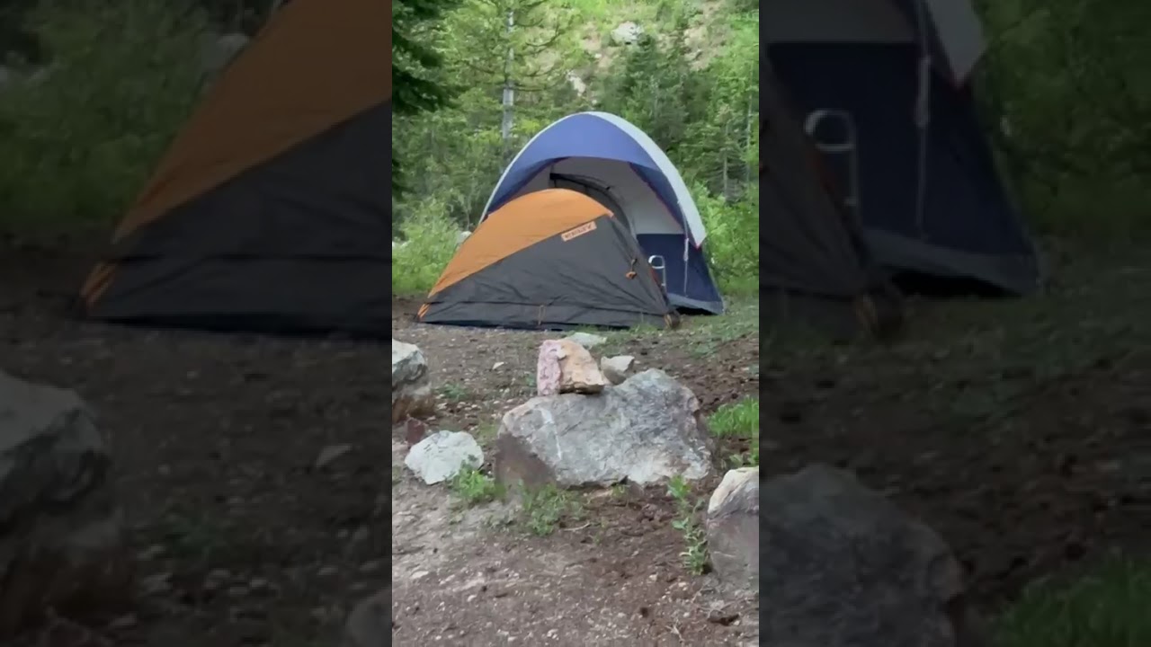 Tony Grove, Lake. Кемпинг - любимый отдых американцев. Бронь за полгода. Медведи приходят ночью.