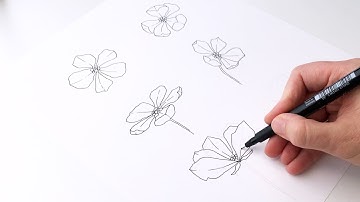 Drawing flowers in perspective beginners art tutorial - Angele Kamp