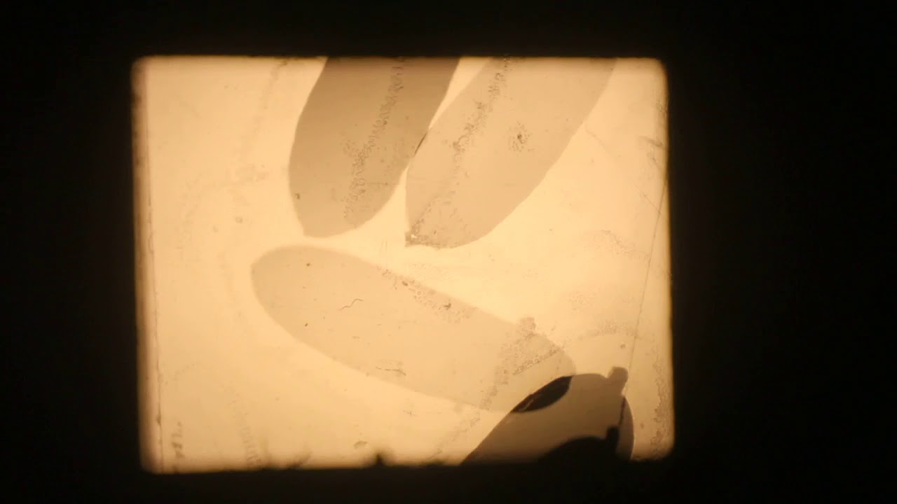 Cameraless Film Experiment- Found Footage and Foliage - YouTube