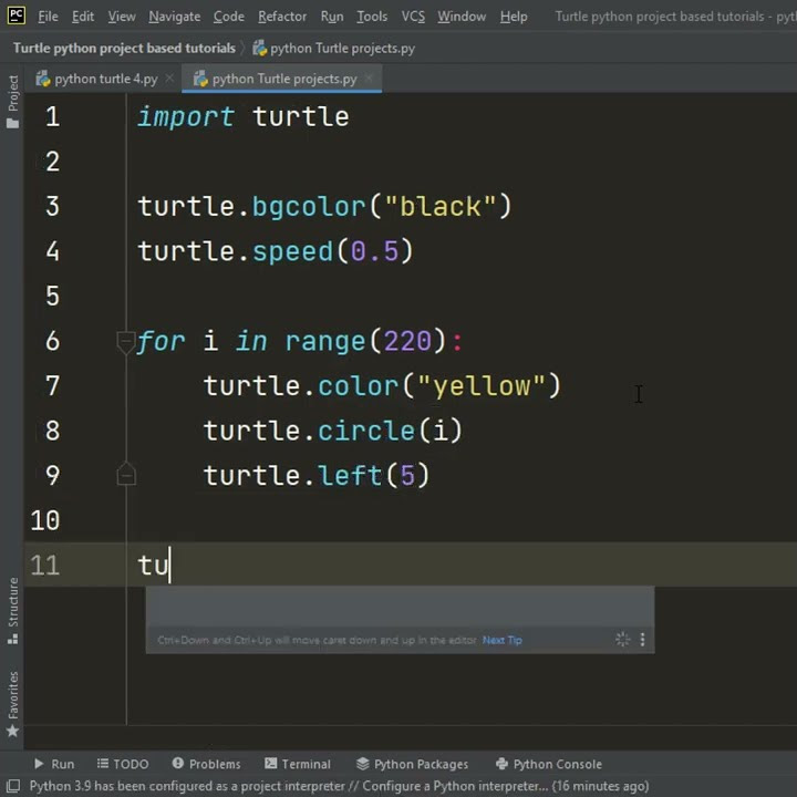 Python Turtle Projects - Simple Python Turtle Graphics / Python ...