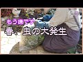 今やれば春は安心！樹木と庭を守る病害虫ケア