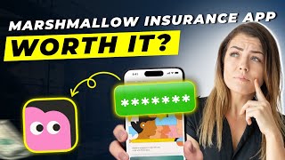 Marshmallow Insurance App Review 2025 | Pros and Cons – Honest & Unbiased screenshot 1
