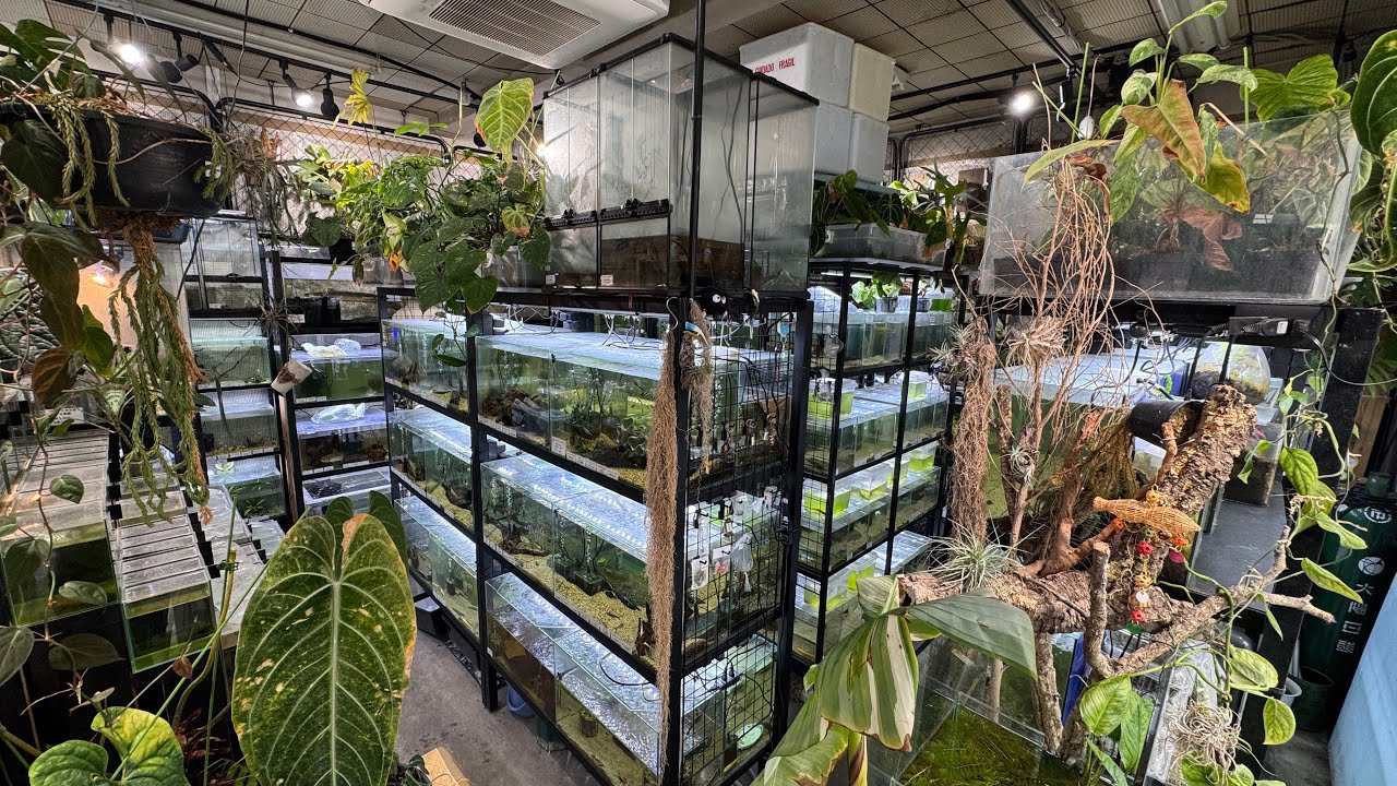 数百種類の激レア生物が所狭しと並ぶ生き物専門店が楽し過ぎた・・・！