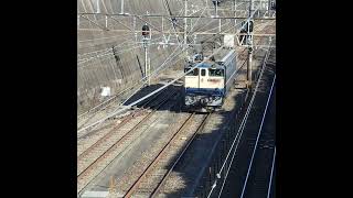 [甲種輸送]西武鉄道40000系牽引EF65待避（新秋津駅）