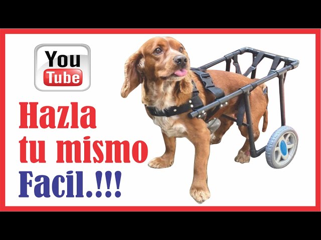 💡Como hacer SILLA DE RUEDAS para PERROS 🐶 MASCOTAS/ dog wheelchair -  YouTube