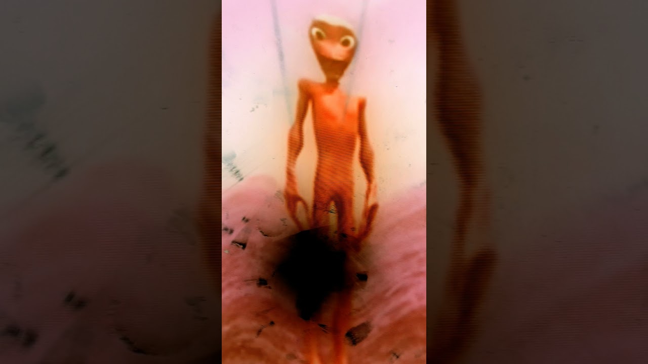 23 августа 2025 г.