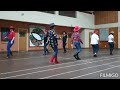 Line Dance Demo: Hillbilly Rock & Roll With Me