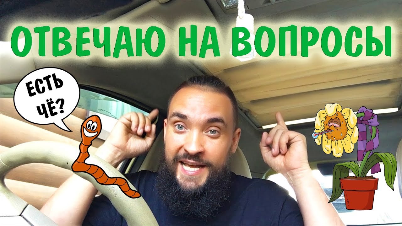 Обо всем за рулем #20 / Есть че? / Брага / Болезни растений / Инновации / Скидки