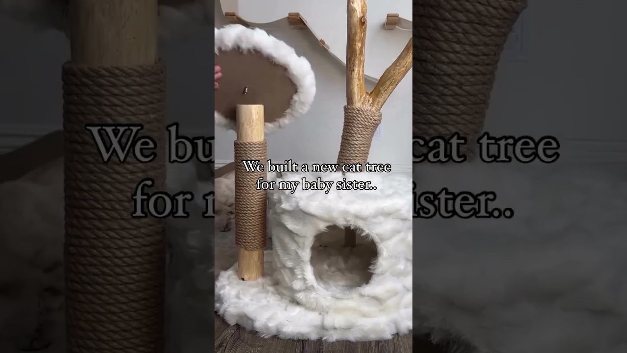 42″H Wood Cat Tree Climber Shelves, Natural Branch Cat Tower With Condo, White