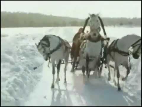 Кони пьяны хлопцы запряжены. Запряженная тройка лошадей. Песню запряги мне лошадей. А запрягай ка батька лошадь текст. Зарыдали бубенцы.