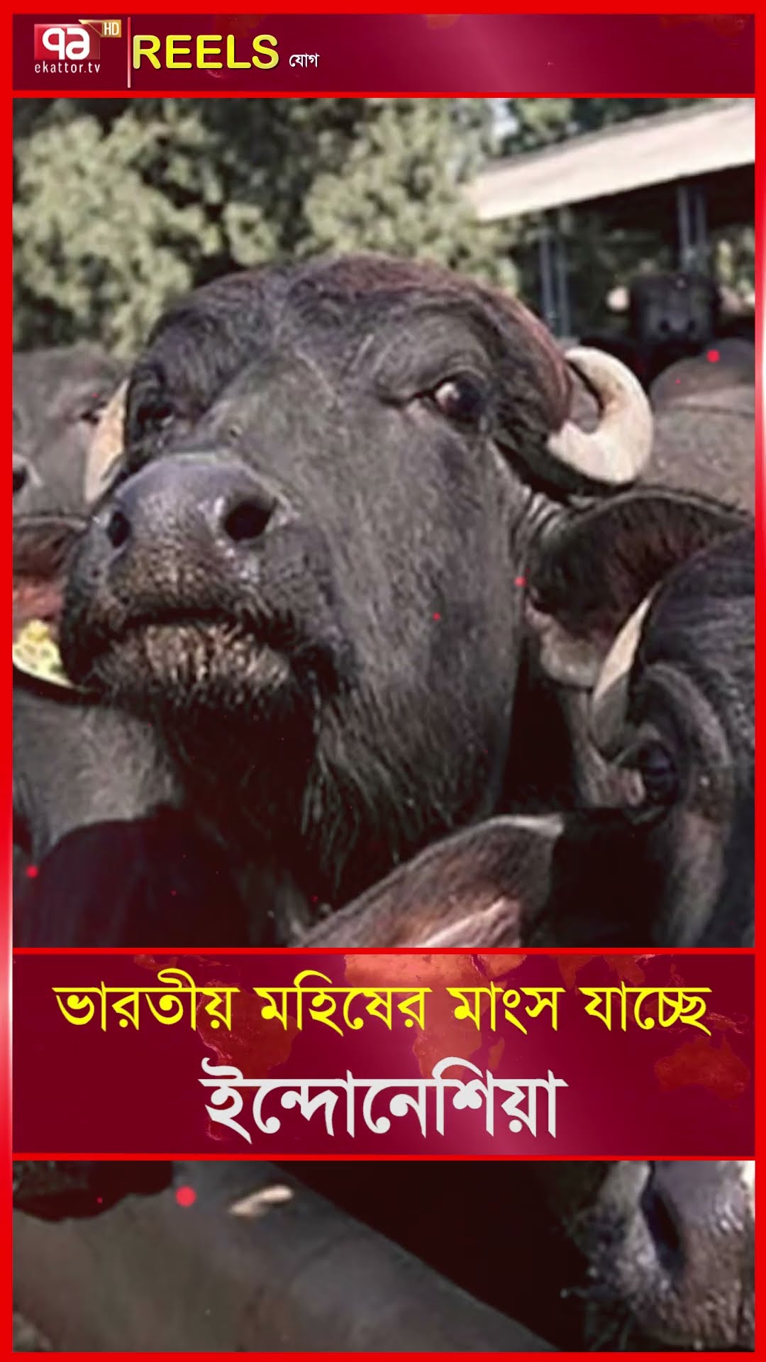 সৌদি আরবে ১ মার্চ শুরু হবে মহিমান্বিত মাস রমজান | Ekattor TV