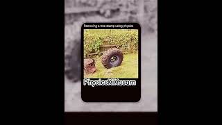 This Tire Just Outsmarted a Tree Stump|VECTOR FORCE #shorts #shortsfeed #physics