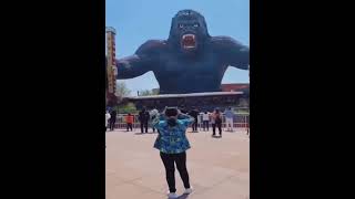 Vidámparkok Amik Túl Messzire Mentek