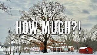How to Estimate the Cost of Tree Work