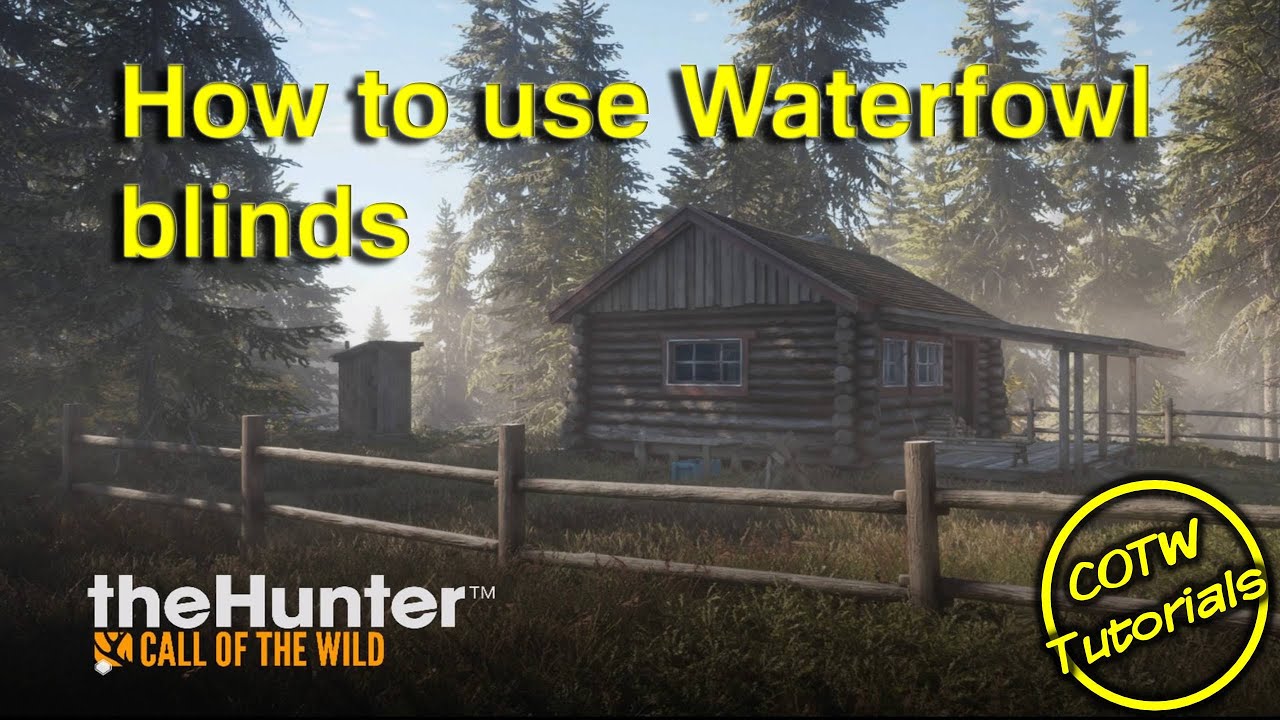 theHunter Call of the Wild How to use Waterfowl blinds YouTube