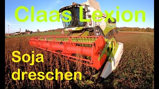 Sojadrusch Am Alpenrand Mit Claas Lexion 5400, Soybean Harvest Close To The Bavarian Alps