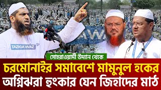 সরাসরি চরমোনাইর সমাবেশে থেকে মামুনুল হকের ঐতিহাসিক ভাষন। allama mamunul haque=28/6/25 #live #ep29