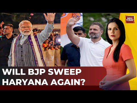 Election Despatch With Preeti Live |  Will BJP Sweep Haryana Again? |  Lok Sabha Election 2024