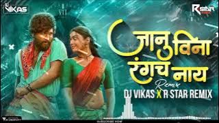 Janu Vina Rangach Nay - Dj Vikas & R Star Remix / Sk Brothers / Rani Maske