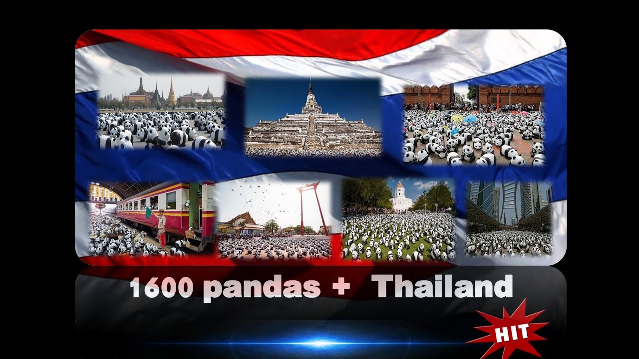 bangkok air 1600 PANDAS + WORLD TOUR IN BANGKOK THAILAND FLASHMOB PANDA WWF