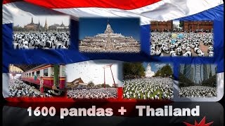1600 PANDAS + WORLD TOUR IN BANGKOK THAILAND  FLASHMOB PANDA WWF