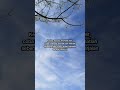 #shortvideo #quotes #shortviral #fromkatabijak