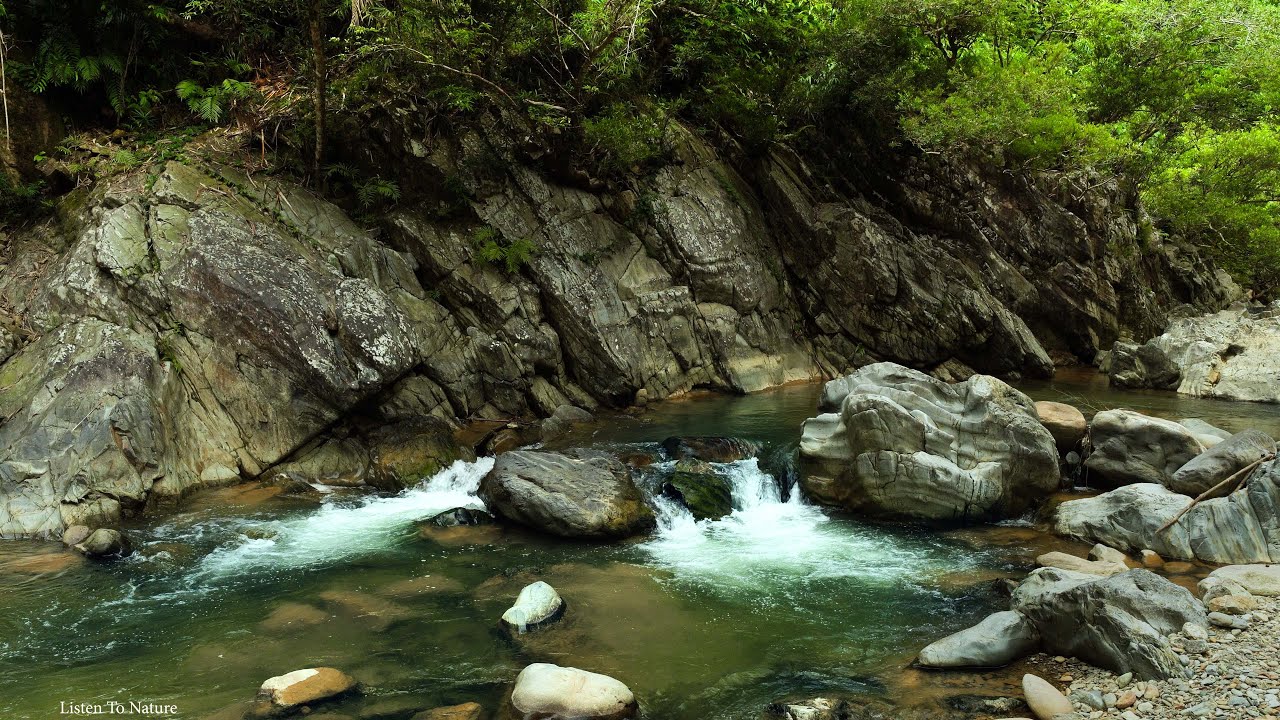 Soothing Nature Sounds, Babbling Brook and Chirping Birds, Relax, Focus ...