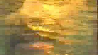 terrence-mckenna---what-is-the-psychedelic-experience-for