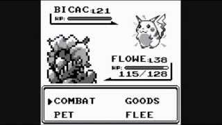 BICAC, BICAK, BIGAK, BIKAK, BIKAC, BICAC
