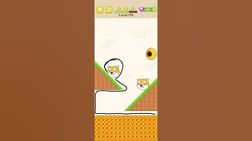 Max Level Save The Dog - Dog Escape Game  All Levels New UPdate Android,ios  Shorts # 176