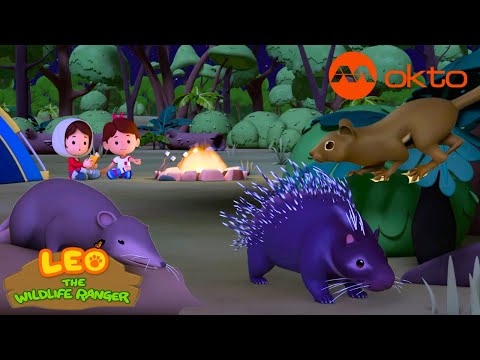 Which of these SMOL ANIMALS is your favourite? | Leo S3 Spinoff Compilation | @mediacorpokto​