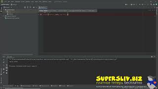Print Function and F Strings mp4