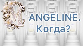 И снова загадочный бренд Angeline!