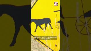 Crash involving Amish buggy Net Worth