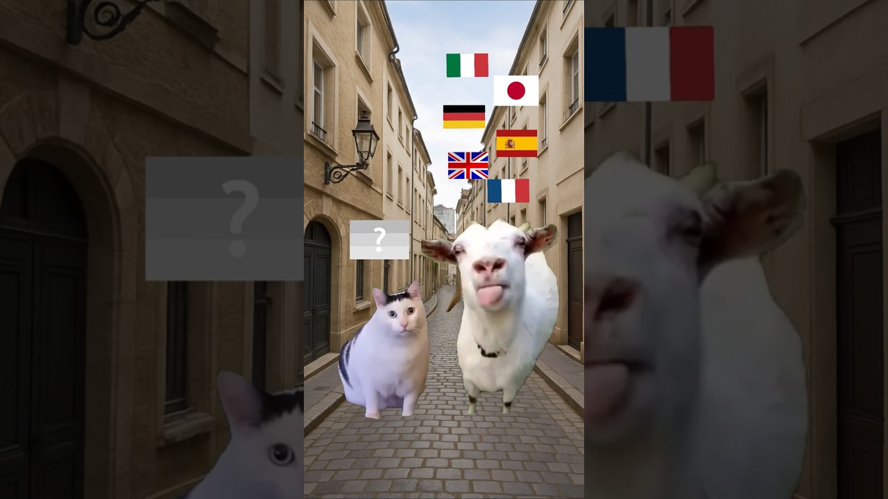 Find Any Phrase From Movie | Useful Website For Learning Languages