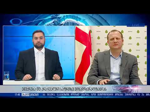 ზურა ჯაფარიძე ევროკავშირში მიგრაციის შესახებ