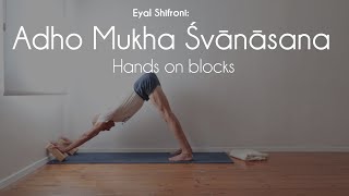 How to Shift Load to Your Legs in Adho Mukha Śvānāsana | Eyal's Tip No. 10