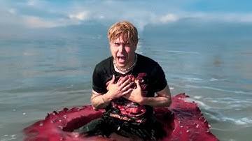 "How to Survive a Shark Attack" - Superblood (Visualizer)