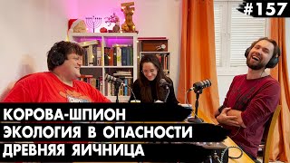 #157 Экология в опасности, Корова-шпион, Древняя яичница - Че там у евреев?