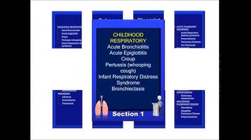 PANCE PANRE Easily break down the NCCPA blueprint