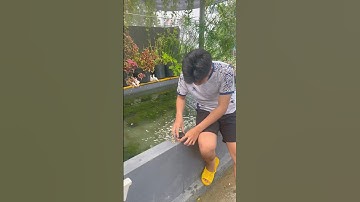 Ông 5 tiếp tục đy câu cá