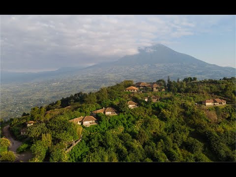 Virunga Lodge