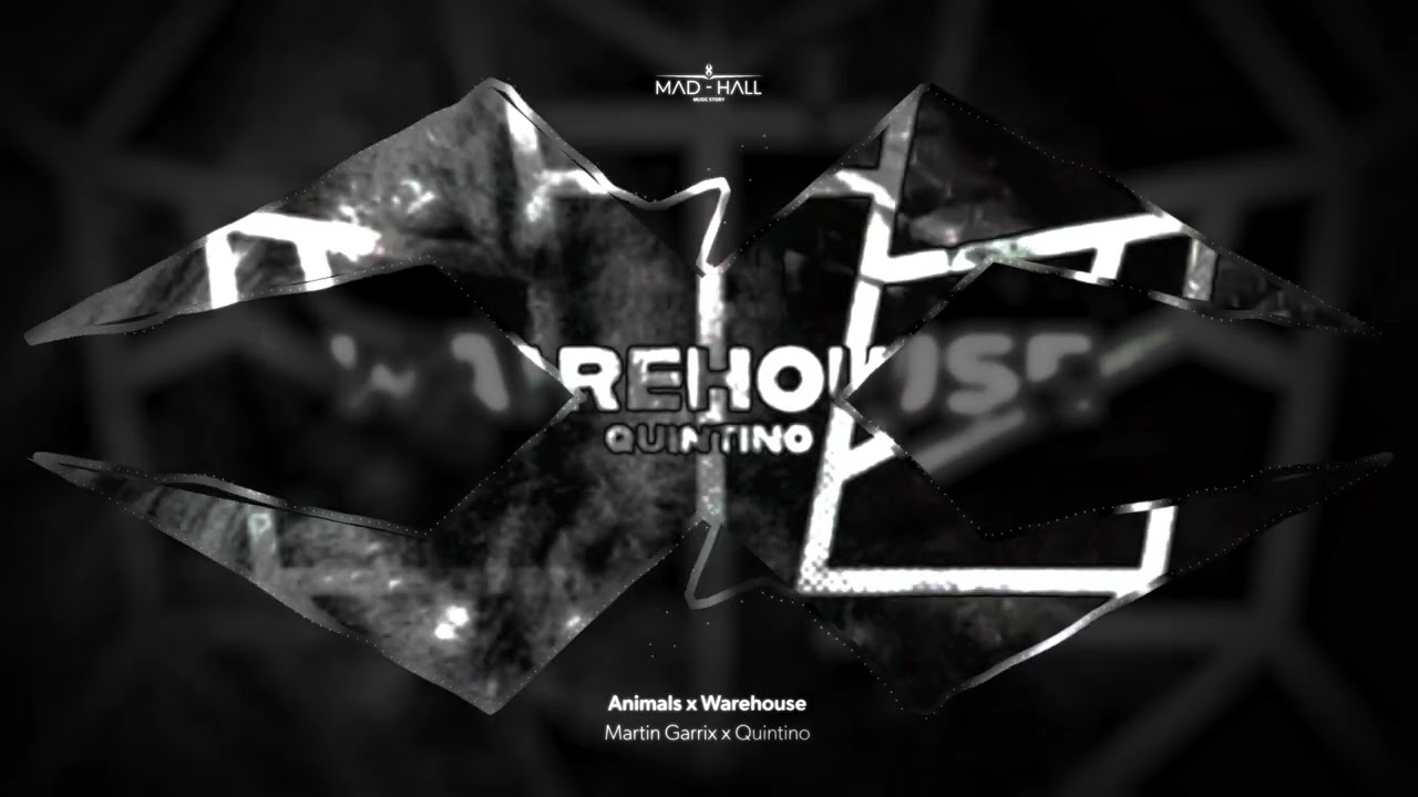 Martin Garrix - Animals x Quintino - Warehouse (MARTIN GARRIX mashup)