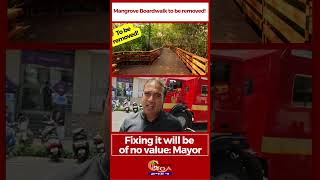 Mangrove Boardwalk To Be Removed Mayor