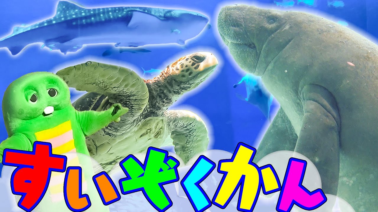 I went to an aquarium where many sea creatures gather ♪ Sea