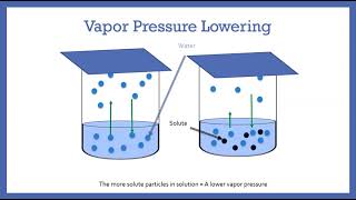 Colligative Properties