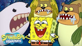 Alaskan Bull Worms, Sea Bears, and more Bikini Bottom Wildlife!  | SpongeBob